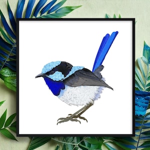 Blue Fairy Wren Framed Print, Australian Bird Art, Unique Bird Nerd Gift, Tropical Artwork, Birdwatcher Gift, Superb Fairy Wren