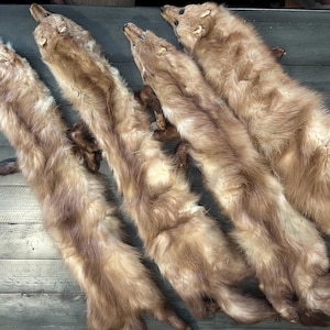 Vintage Mink Fur Scarves