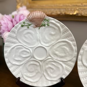 Puede incluir: Plato blanco de cerámica para servir ostras con seis compartimentos y un pozo central. El plato presenta un diseño radial texturizado y está adornado con una concha y un acento de vegetación. El plato se exhibe sobre un soporte marrón oscuro.