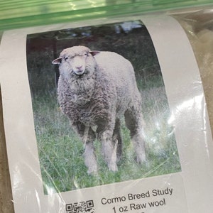 Breed Study Cormo Wool Raw wool sampler