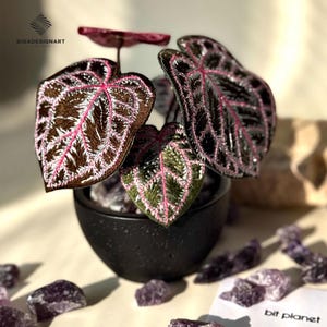 May include: A decorative plant in a black pot with dark brown and green leaves, accented with pink veins and white embroidery. The pot sits on a surface with amethyst crystals scattered around it. The image includes the text "BIGADESIGNART" and "bit planet".