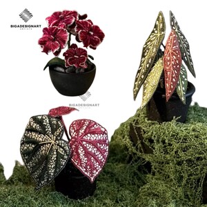 以下が含まれることがあります： 黒い鉢植えに入った人工植物のコレクション。緑色の苔を背景に、鮮やかな赤と緑の葉が複雑な模様で描かれています。白い縁取りのある赤い花を持つ植物も含まれています。