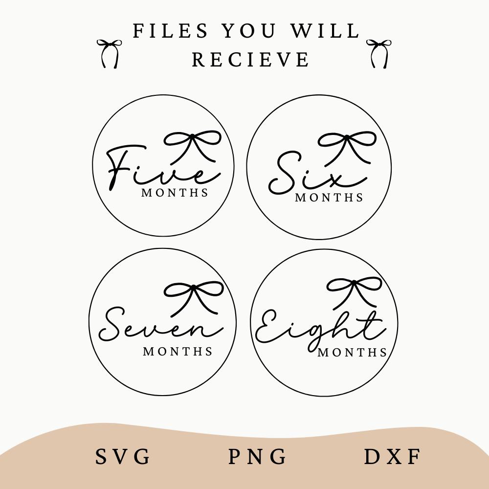 Baby Milestone SVG Bundle Digital Baby Monthly Milestone Rounds SVG ...
