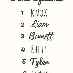 May include: A cream-coloured graphic with the text "Font Options" in dark green script. Below, six font styles are displayed, each with a number and a name: Knox, Liam, Bennett, Rhett, Tyler, and James.