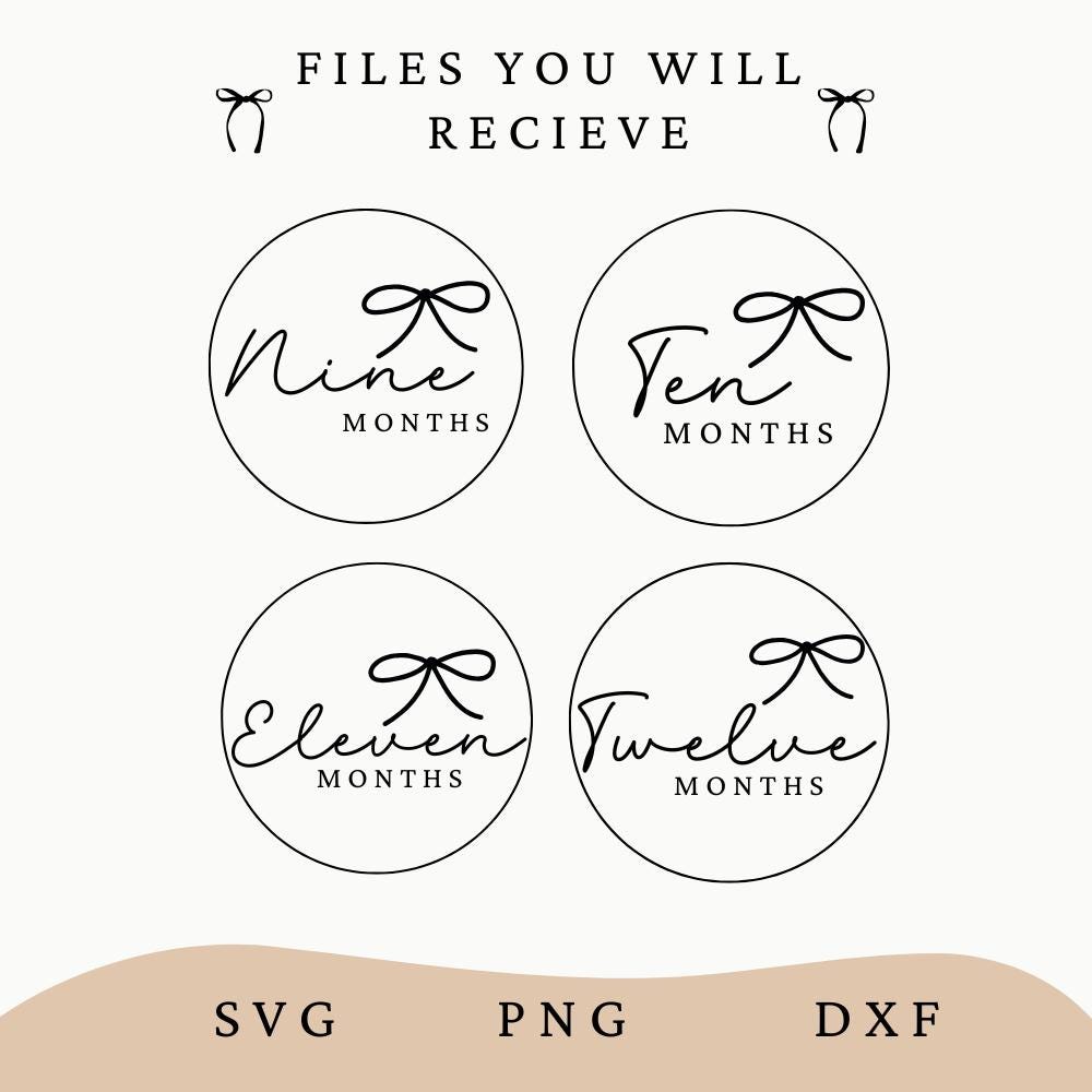Baby Milestone SVG Bundle Digital Baby Monthly Milestone Rounds SVG ...
