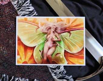 DRUCK - Luna Moth Ayla