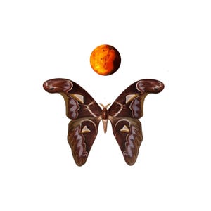 Butterfly on Mars, Collage, Collage Art, Digital Download, Surreal art, magic, butterflies, nature, artsy, poster, wall art, cosmic