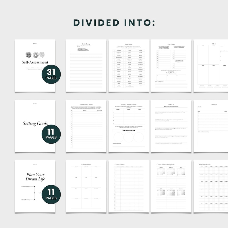 May include: A printable workbook divided into three sections: Self-Assessment (31 pages), Setting Goals (11 pages), and Plan Your Dream Life (11 pages).