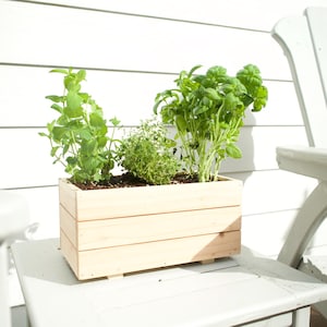 Könnte beinhalten: Ein rechteckiger Pflanzkasten aus Holz, gefüllt mit verschiedenen grünen Kräutern, darunter Basilikum und Minze. Der Pflanzkasten steht auf einer weißen Oberfläche, mit einem weißen Stuhl und einer Verkleidung im Hintergrund. Der Kasten ist aus hellem Holz.