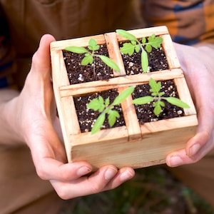 Wooden Seedling Tray - Etsy