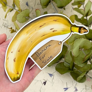 Banane für Waage Sticker, Lebensgröße | Vinyl, Hand gezeichnet, wasserdicht .