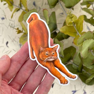 Ginger Cat with a Moustache Vinyl Sticker. Handgezeichnet, hochwertig und wasserdicht für Laptops, Wasserflaschen, Telefone usw
