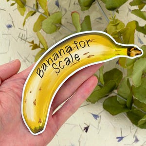 Sticker banane pour écaille | Vinyle, dessiné à la main et imperméable.