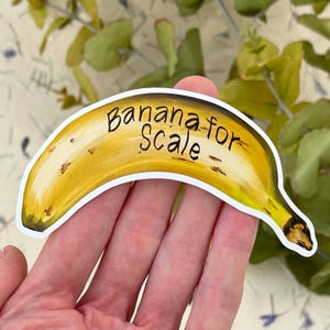 Banane für Waage Sticker, halbe Größe | Vinyl, Hand gezeichnet, wasserdicht . Perfekt für Küchen, Lunchbox, Laptops, Wasserflaschen und Sammelalben.