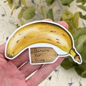 Sticker banane pour écailles, demi-taille | Décalcomanies imperméables pour cuisines, boîtes à lunch, ordinateurs portables, bouteilles d'eau, journaux découpés, dessinés à la main, vinyle