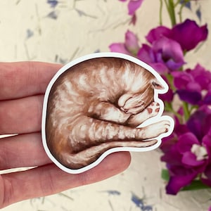 Dozing Cat Sticker – Vinyl Art of a Sleeping Cat, Ideal for Journals & Bottles