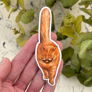 Katze Schnurrbart-Vinyl-Aufkleber | Handgezeichnete, wasserfeste Aufkleber für Laptops, Wasserflaschen, Journale, Sammelalben & mehr!