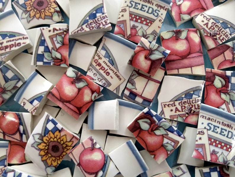 Apple Seeds Macintosh Red Delicious Crisp Mountain Etsy