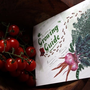 The Little Growing Guide Kid's Booklet for Food Gardening image 2