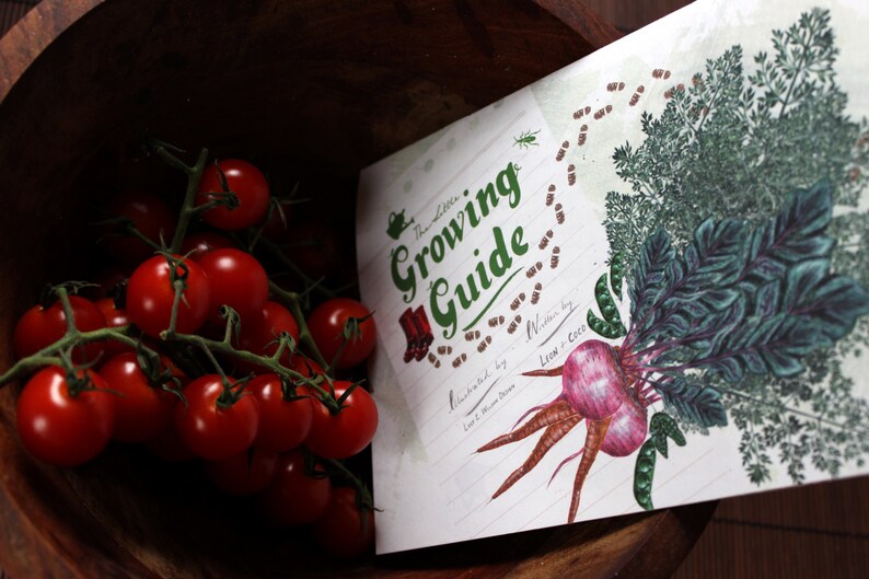 The Little Growing Guide Kid's Booklet for Food Gardening image 2