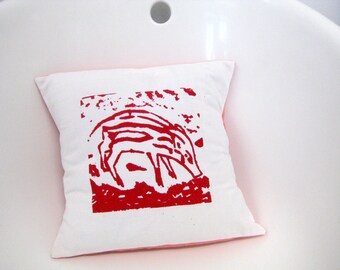 small scatter cushion