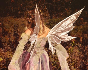 Enchanted Amalthea Fairy Wings traje traje de hadas fae bebé hadas bebé niño alas de hadas adulto traje de hadas foto prop alas personalizadas