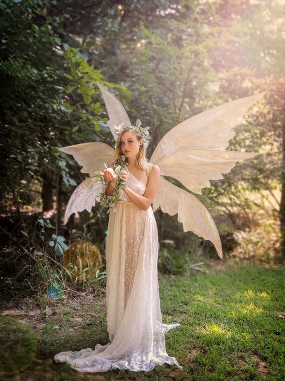 enchanted fairy dress