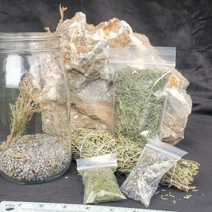 Eastern Red Cedar berries incense Cedar powder Red Cedar leaves apothecary gift set decorative witchy needs bulk cedar sustainably harvested image 5