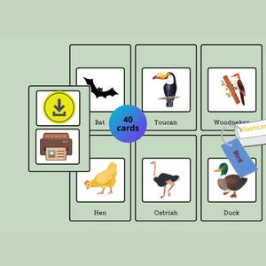 Flashcards de pássaros, Flashcards, Cartões para impressão, Aprenda sobre pássaros, Cartões de memória para crianças, Cartões para enriquecer o vocabulário