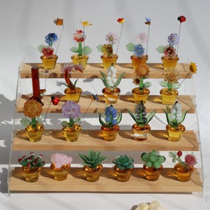 Op de afbeelding: Een verzameling van 24 glazen bloemenfiguurtjes die op een houten, trapsgewijs opgestelde standaard staan. De figuurtjes zijn in rijen gerangschikt en hebben verschillende kleuren en ontwerpen, waaronder roze, paars, blauw, groen en geel.