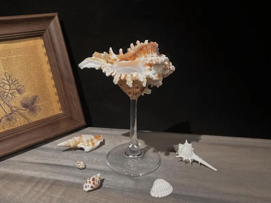 Customised Seashell Wine Glasses - Wedding Gifts - Anniversary Gifts ...