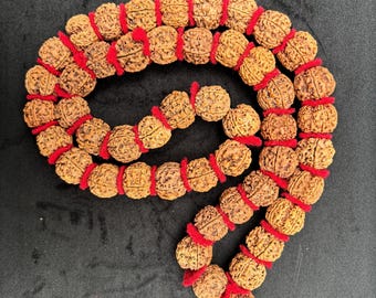 4 Mukhi Rudraksha Kantha Mala