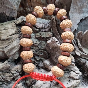 May include: A bracelet featuring alternating round, textured tan beads and smooth dark brown cylindrical beads. The bracelet is secured with a bright red adjustable cord closure, showcasing a woven knot design at the base of the circular arrangement.