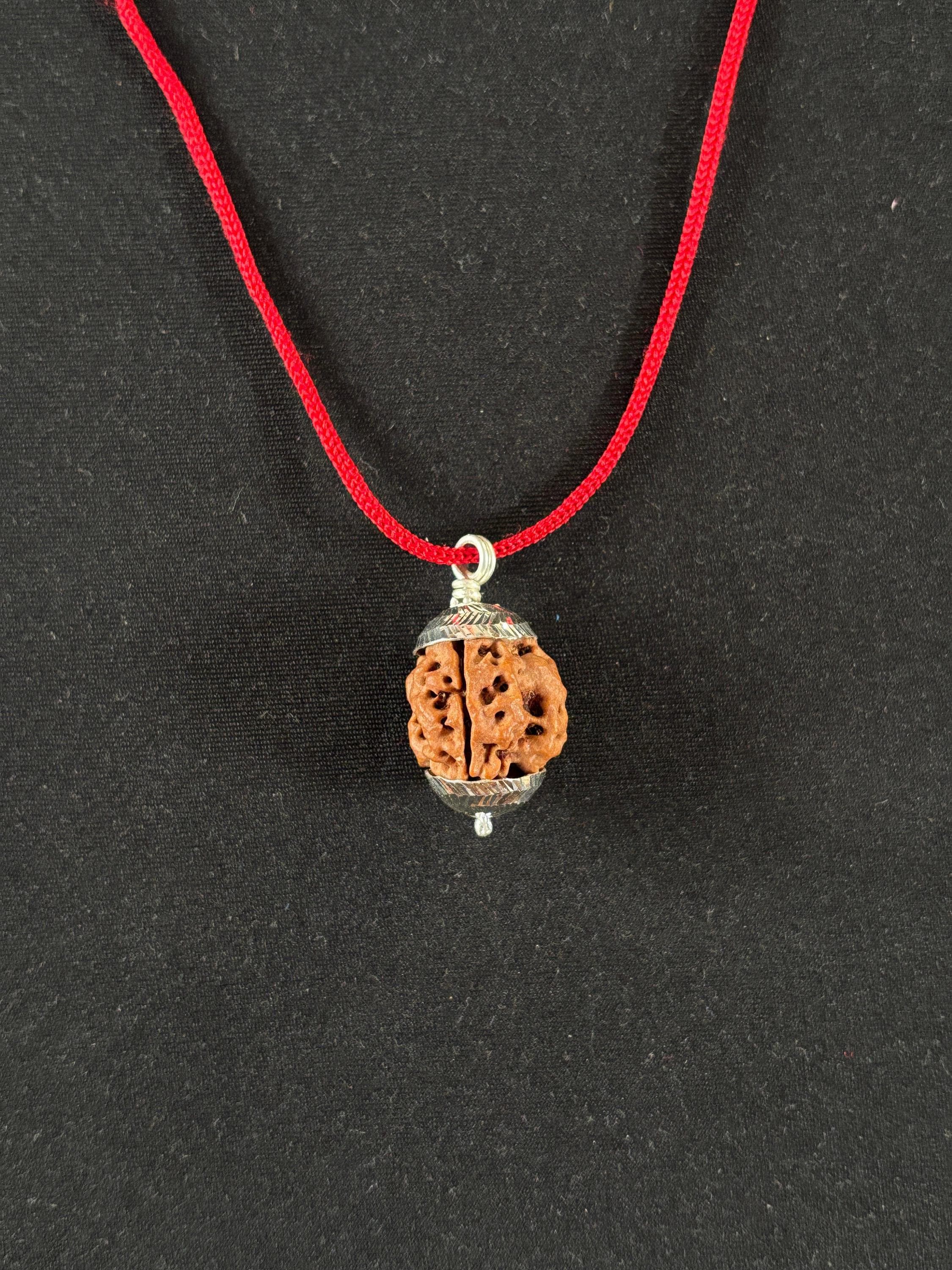 3 Mukhi Rudrakshas