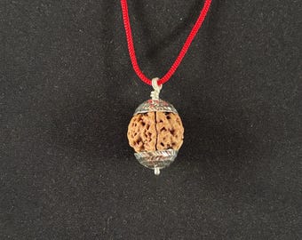 5 Mukhi Rudrakshas