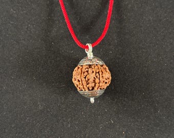 6 Mukhi Rudrakshas