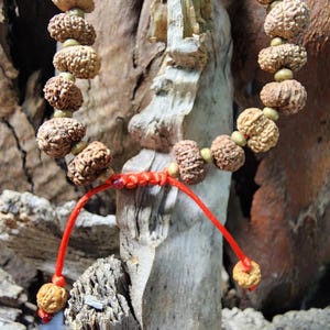 Puede incluir: Una pulsera de cuentas con múltiples cuentas marrones texturizadas ensartadas en un cordón rojo. La pulsera se exhibe sobre un fondo de madera envejecida, mostrando su estética natural. Las cuentas miden aproximadamente 1 cm de diámetro.