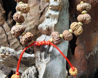 13 Mukhi Rudraksha Bracelet From Java Indonesia. Blessed & Energized by Holy Priests of Pashupatinath Temple.