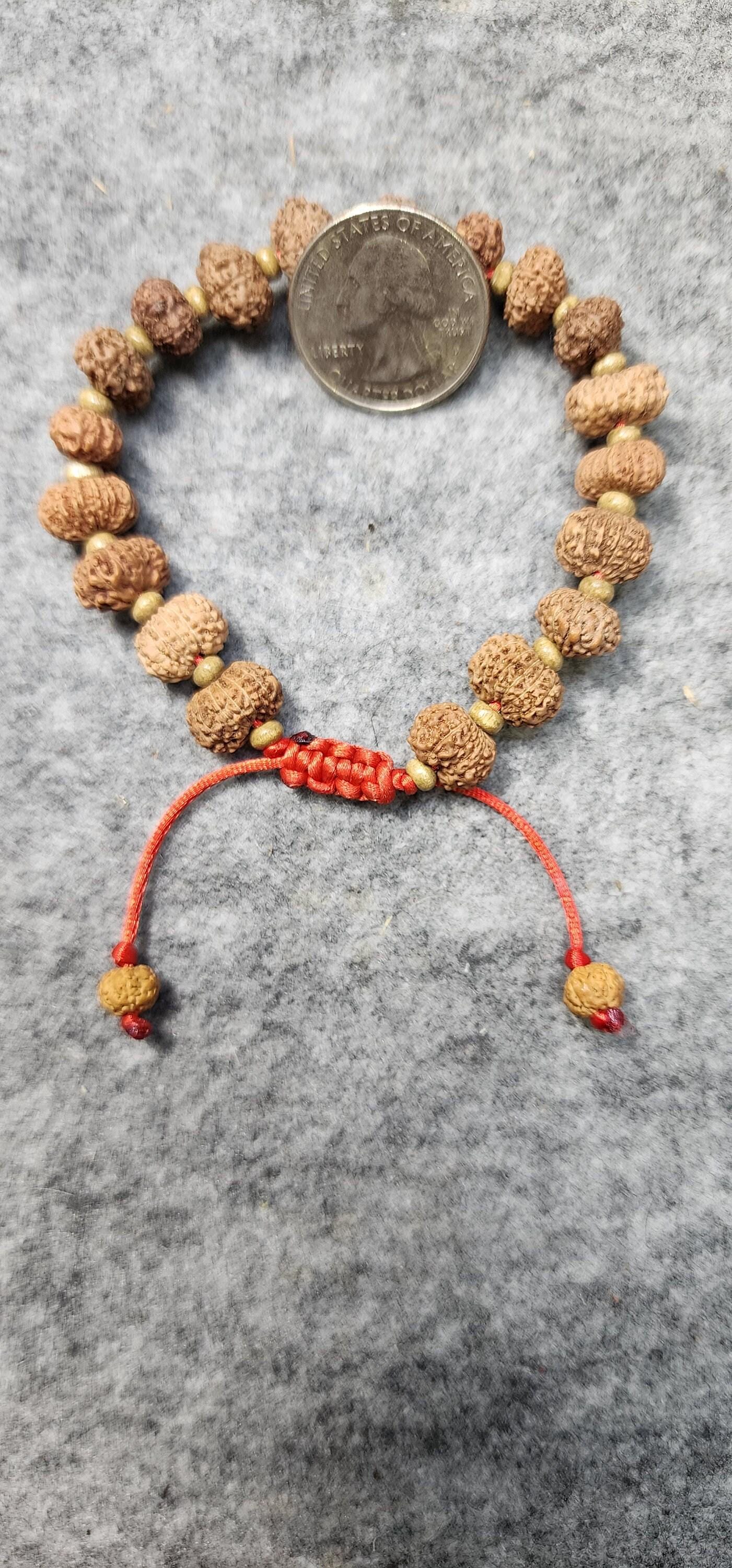 12 Mukhi Rudraksha Bracelet.