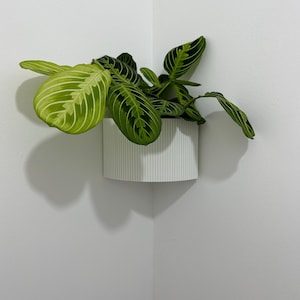 Modern wall mounted corner flower pot with 3D ribbed texture