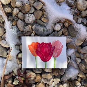 Peinture tulipe originale terminée 7 x 5 pouces peinte à la main