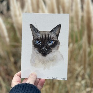 Ritratto di gatto siamese finito in acquerello