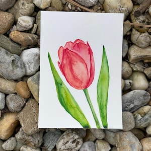 Peinture originale de tulipe terminée à l'aquarelle