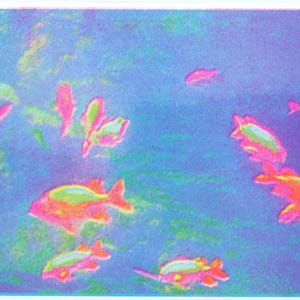 May include: A digital art print featuring a school of fish rendered in vibrant, high-contrast neon colors. The fish appear in shades of bright pink, orange, and lime green, set against a deep, saturated blue background with abstract textures.