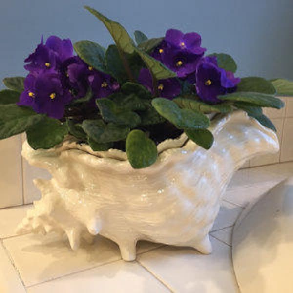 Violet pot, medium, planter, self watering, conch shell, translucent milk glass white, African violet planter
