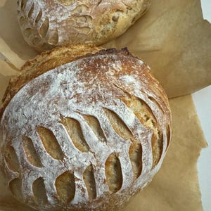 Fresh Sourdough Bread