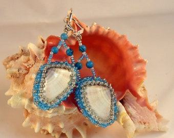 Earrings White Angelwing shells with Turquoise semi precious gem stone