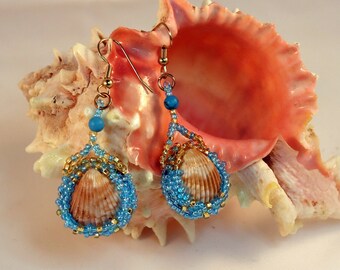 Earrings Tan Cockle shells with Turquoise and bronze seed beads, bead embroidered, bead weaving