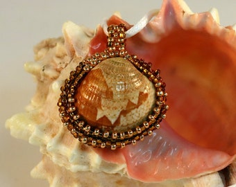 Pendant, Bronze Gold Venus Cockle Clam Shell beaded pendant bead woven