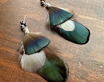 Pheasant Feather Earrings - Blue Green and White Feather Earrings - Natural Undyed Feather Earrings - Short Feather Earrings (Ready to Ship)